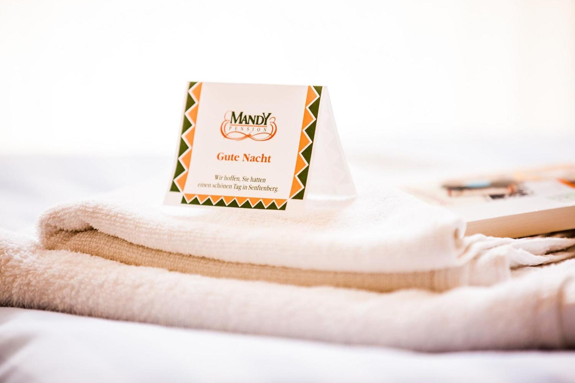 Hotel-Pension Mandy - Adults Only Зенфтенберг Экстерьер фото